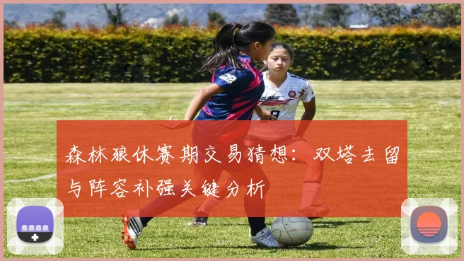 森林狼休赛期交易猜想：双塔去留与阵容补强关键分析