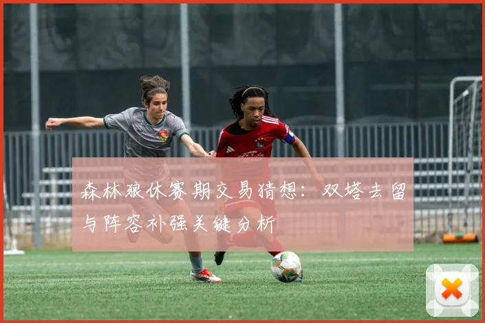 森林狼休赛期交易猜想：双塔去留与阵容补强关键分析