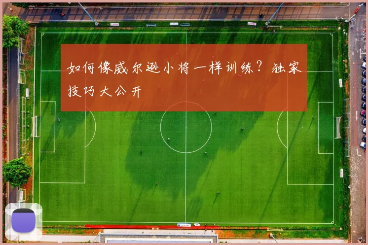 如何像威尔逊小将一样训练？独家技巧大公开